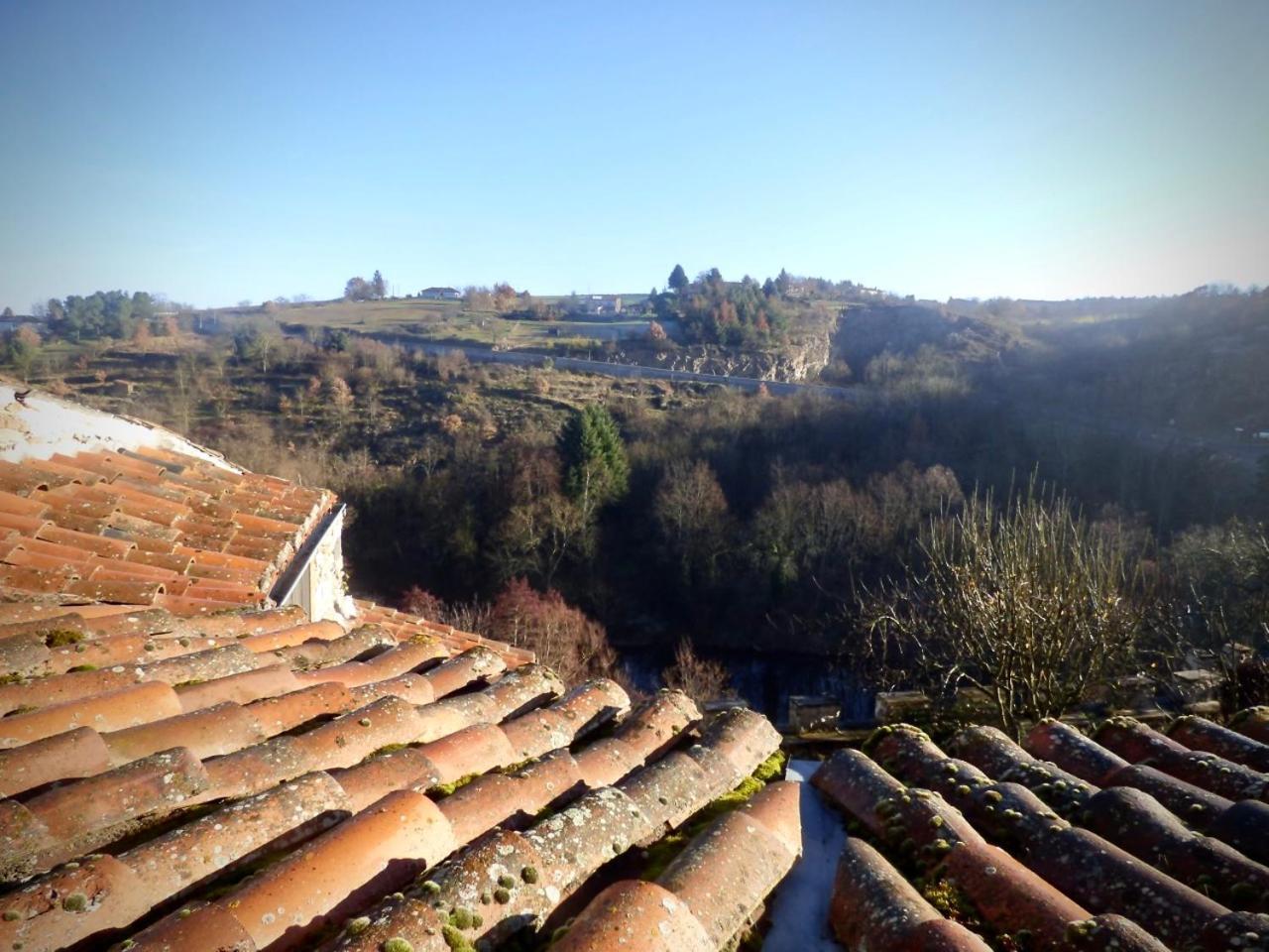 Ermitage Saint Vincent B&B Vieille-Brioude エクステリア 写真