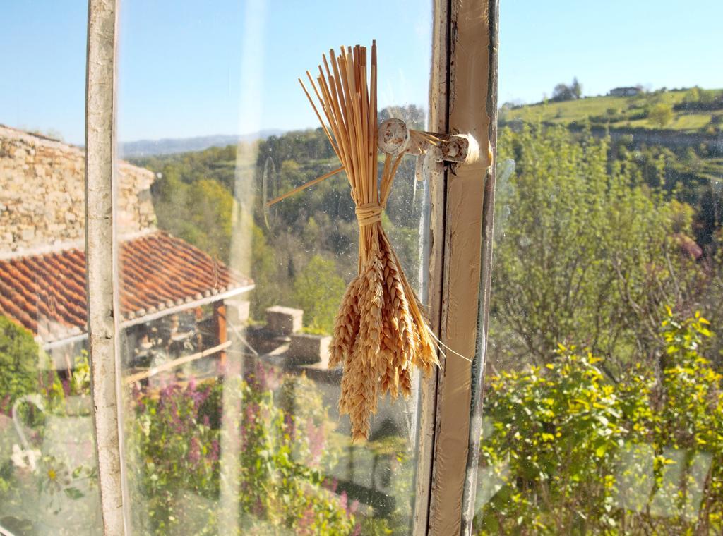 Ermitage Saint Vincent B&B Vieille-Brioude エクステリア 写真