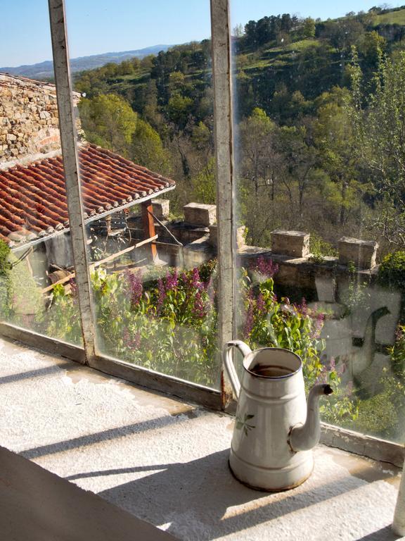 Ermitage Saint Vincent B&B Vieille-Brioude エクステリア 写真
