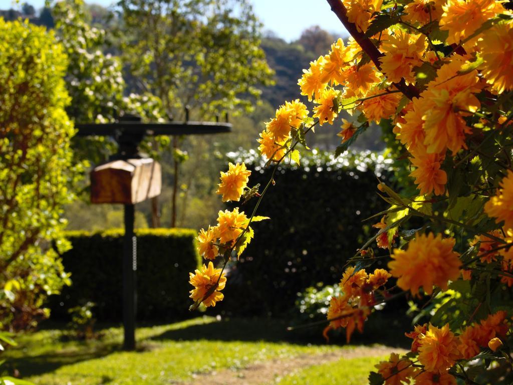 Ermitage Saint Vincent B&B Vieille-Brioude エクステリア 写真